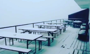 moro prima neve 1