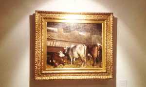 mostra philippe daverio