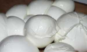 mozzarella