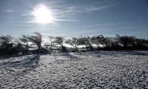neve gelo