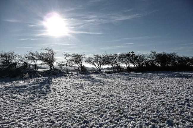 neve gelo