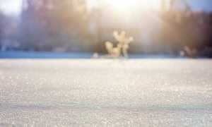 neve