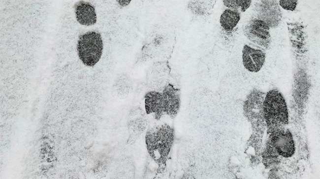 neve impronte