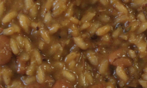 paniscia