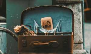 pexels pixabay 247929