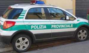 polizia provinciale