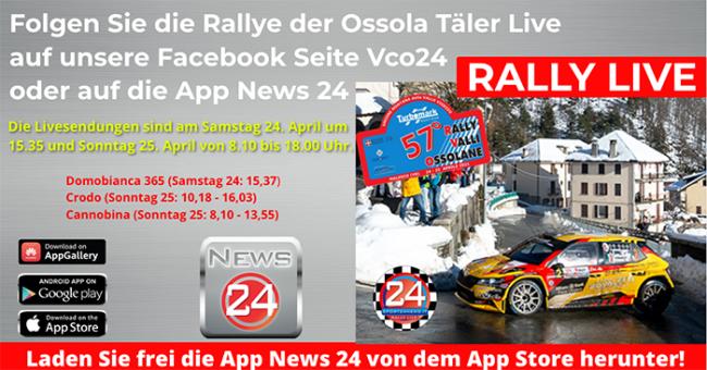 rally wallis