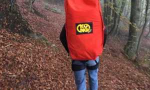ricerche bosco