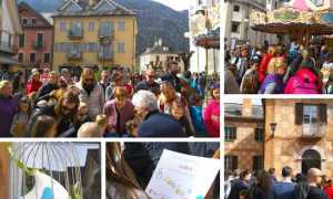 scovalova vigezzo 19