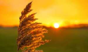 sole tramonto
