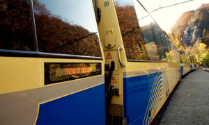 treno vigezzina servizio vagoni
