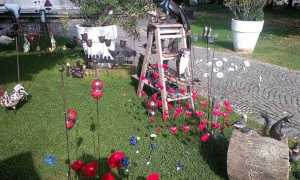 trifolia