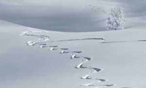 wintry