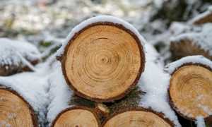 wood 3163292 640