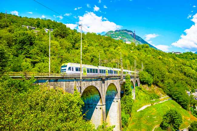 bls treno estate