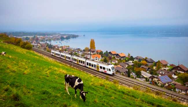 ferrovia bls treno