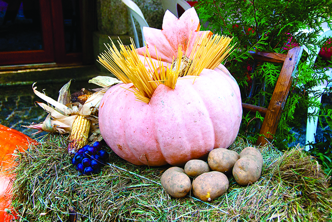 Das Vigezzo-Tal im Zeichen des Kürbis: "Fuori di Zucca"