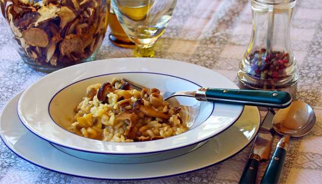 funghi risotto