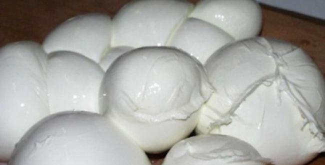 mozzarella