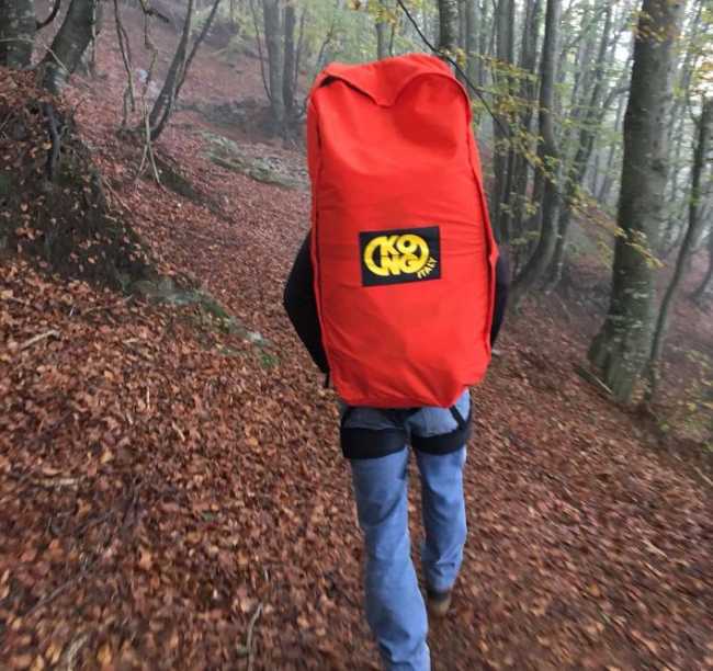 ricerche bosco
