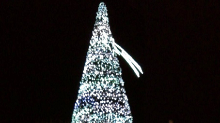 arona albero 2017