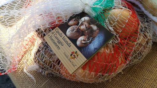 cipolla bionda