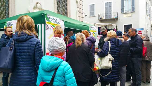 gazebo taglio basta