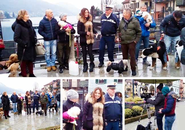 vita diretta omegna