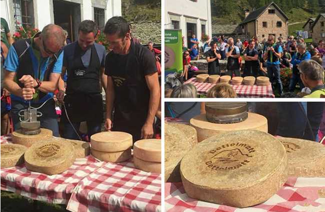 Der Roll Royce der Käse: Los mit dem Einbrennen der Bettelmattlaibe 2019