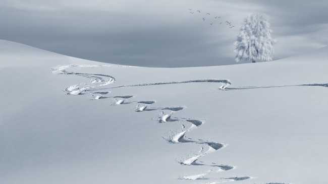 wintry