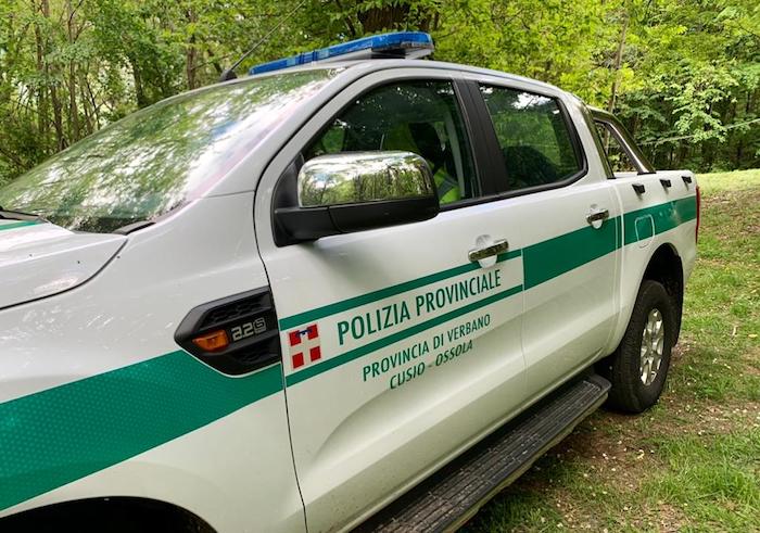 Schädel nicht weit von der Grenze zur Schweiz gefunden