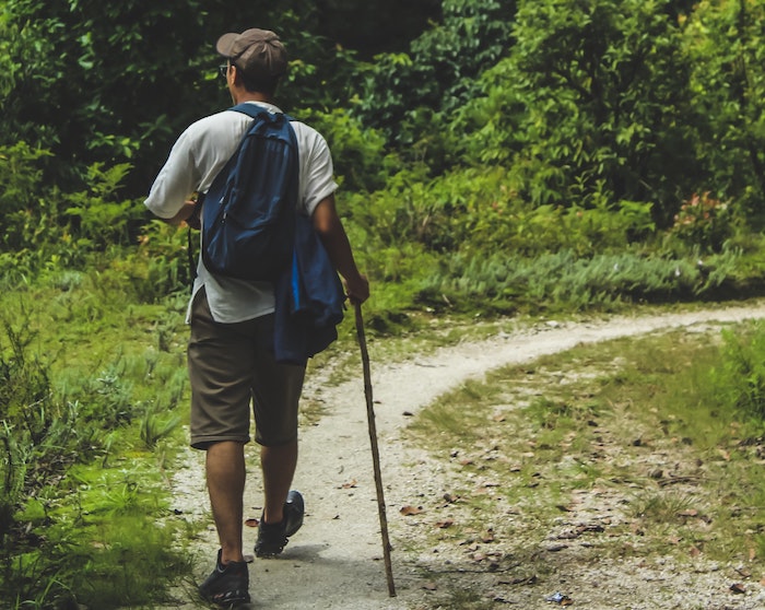 Der große Walser- Wanderweg