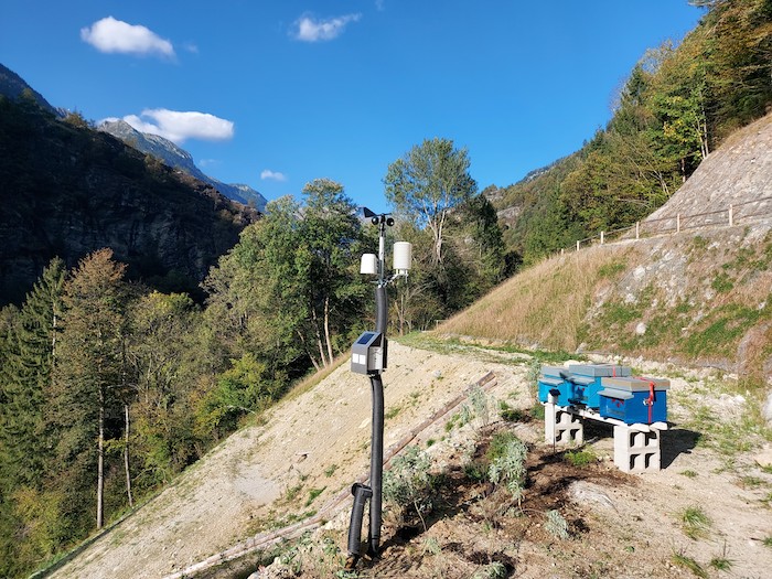 Kampf der Luftverschmutzung im Ossola: Bienen als Mithelfer