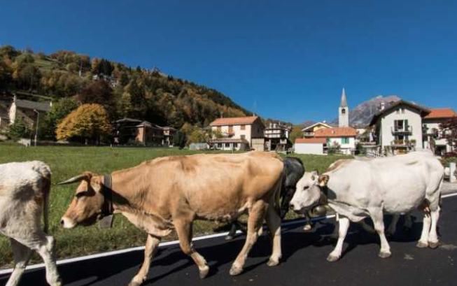 BiancoLatte kehrt in Crodo zurück, einen Sonntag im Zeichen der Geschmäcke der Bergen